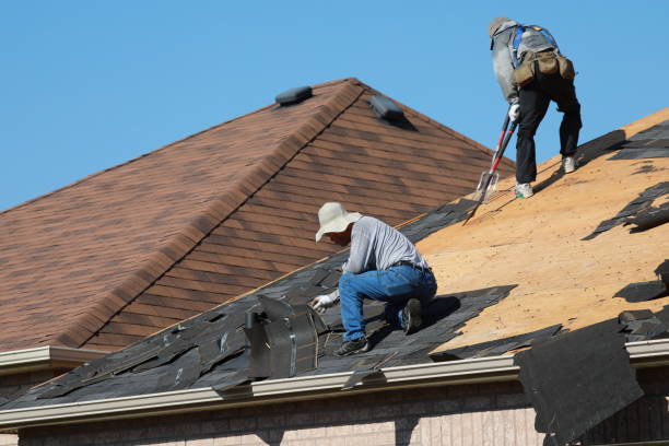 Best Roof Replacement  in Johnsonburg, PA