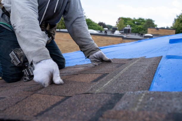 Best Roof Coating and Sealing  in Johnsonburg, PA